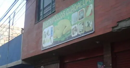DISTRIPOLLOS GUADALUPE DISTRIPOLLOS GUADALUPE